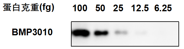 SuperKine™ Universal ECL Substrate