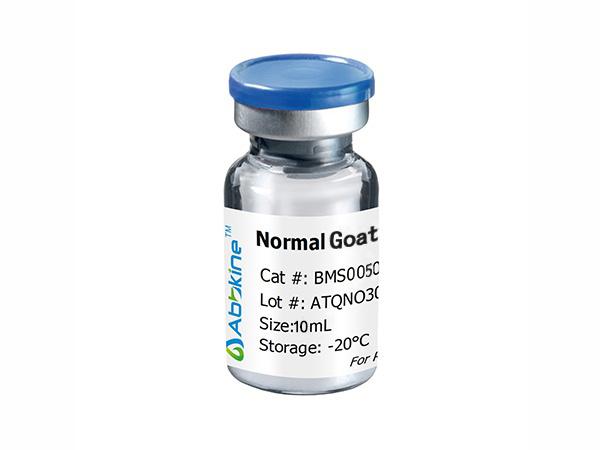 Normal Donkey Serum