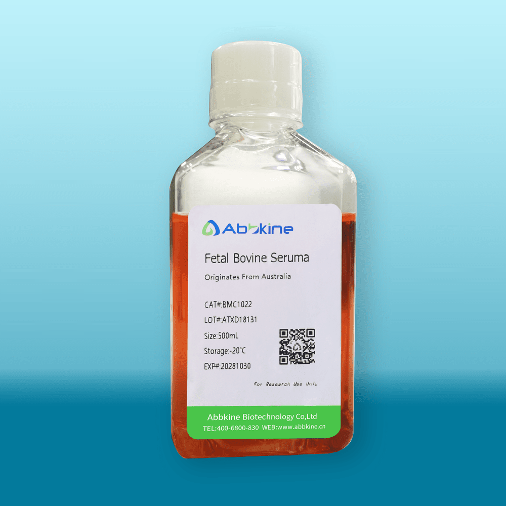 Fetal Bovine Serum Originates From Australia