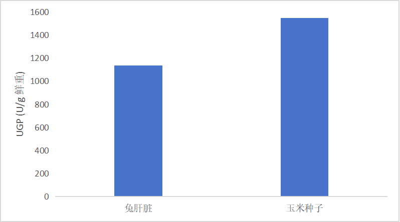 CheKine™ Micro UDP-Glucose Pyrophosphosphprylase (UGP) Activity Assay Kit