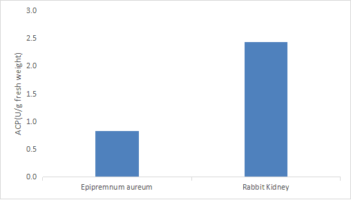 CheKine™ Micro Acid Phosphatase (ACP) Activity Assay Kit