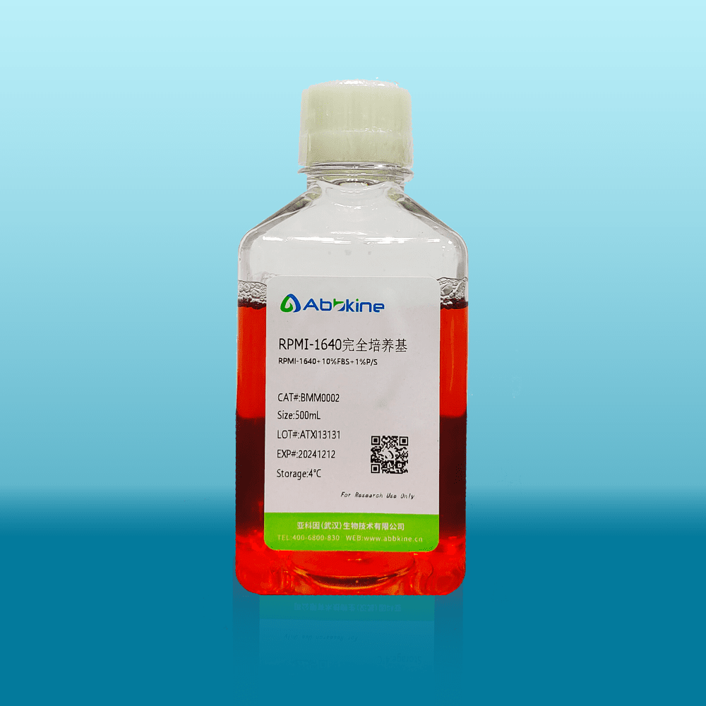 RPMI-1640 Complete Medium (With 10% serum, 1% Penicillin-Streptomycin Solution)