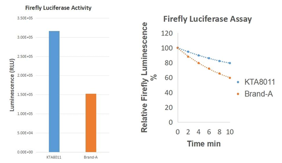 Luciferase Reporter Gene Assay Kit