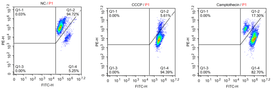 Mitochondrial Membrane Potential Assay Kit (JC-1)