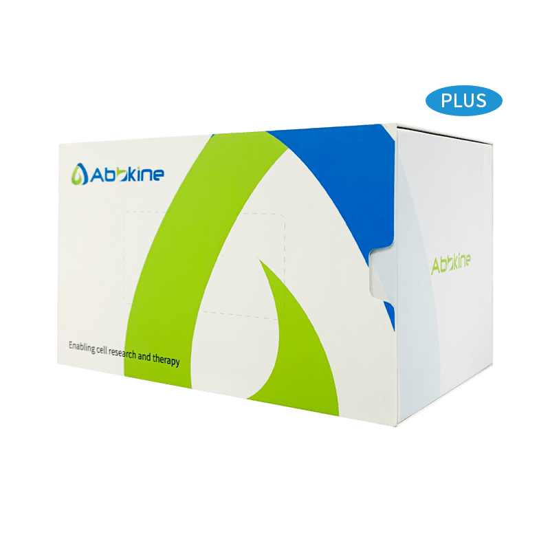 CheKine™ Plus Micro Mitochondrial complex I Activity Assay Kit