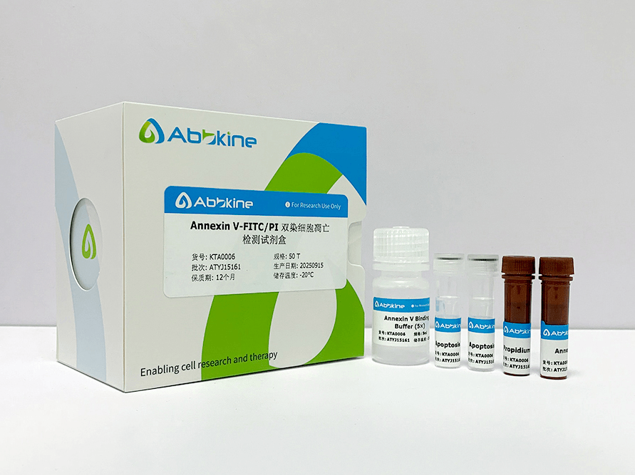 Annexin V-FITC/PI Apoptosis Detection kit