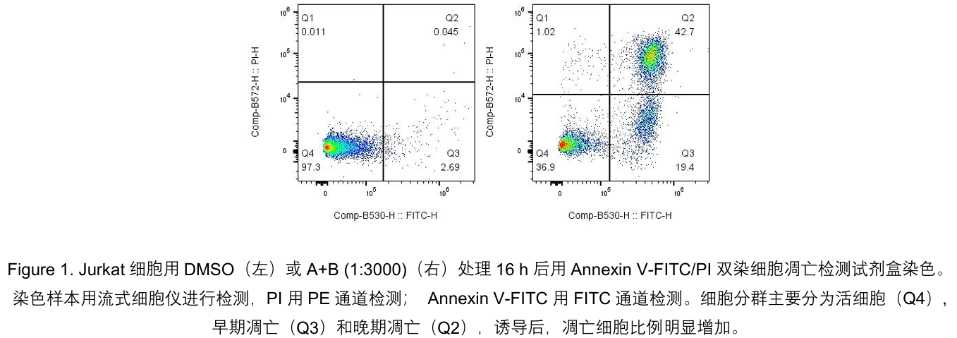 Annexin V-FITC/PI Apoptosis Detection kit